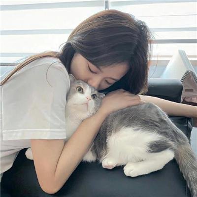 穿靴子的猫:萌猫三剑客 在线观看